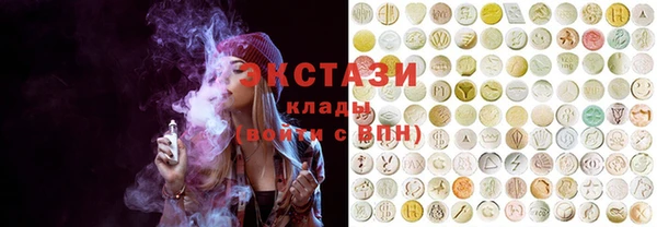 шишки Покачи
